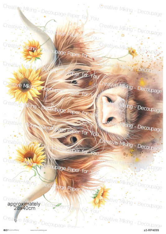 Highland Cow With Sunflowers Decoupage Rice Paper | RP4899