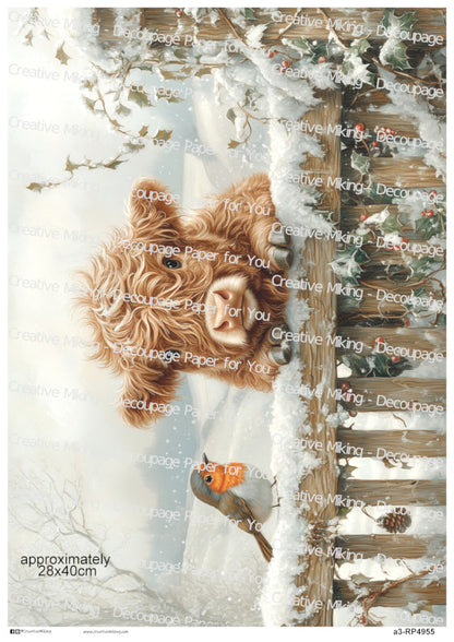 RP4955 - Highland Cow with Robin