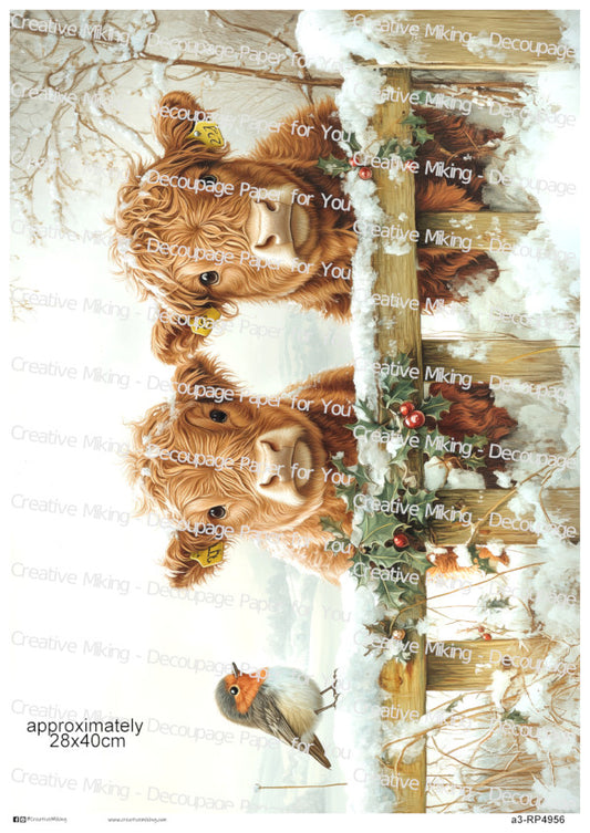 Highland Cow Pair And Robin Bird In Winter Countryside Christmas Decoupage Paper | RP4956