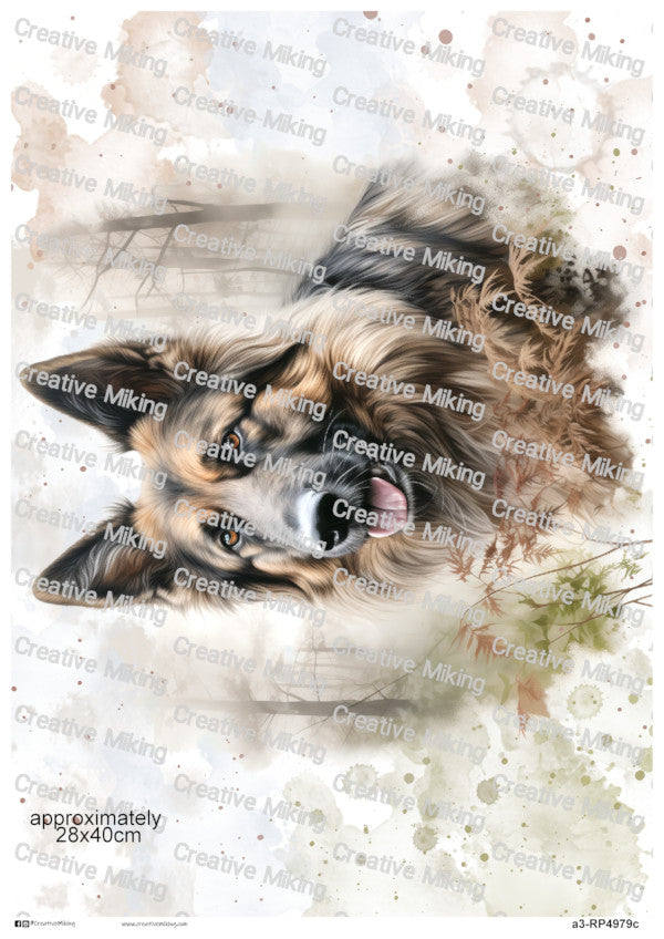 German Shepherd Dog Watercolor Splashes Decoupage Paper | RP4979c