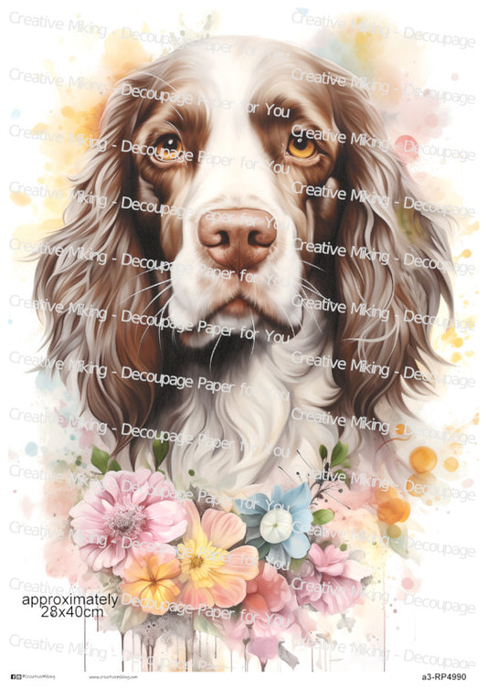 Springer Spaniel Dog Portrait Decoupage Paper | RP4990