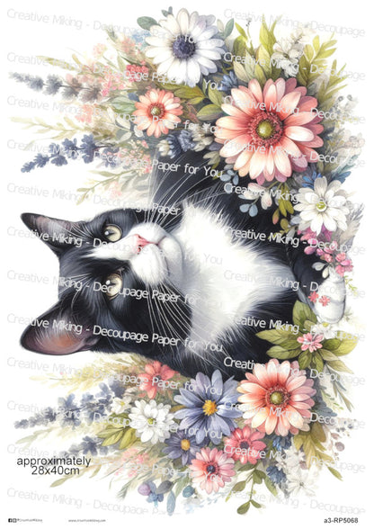 Tuxedo Cat Portrait Among Flowers Decoupage Rice Paper | RP5068