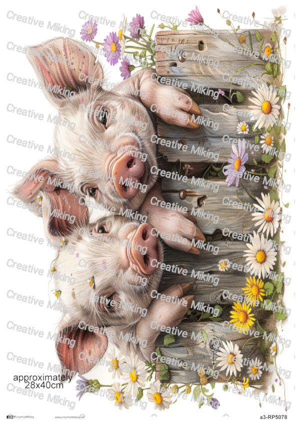 Pigs Peeking Over Wooden Fence Among Flowers Decoupage Rice Paper | RP5078
