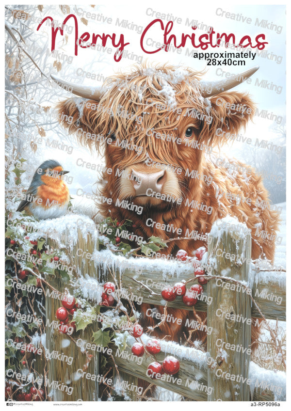 RP5096a - Highland Cow with Robin - "Merry Christmas"
