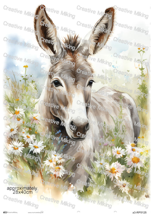 Donkey Among Daisies In Countryside Meadow Decoupage Rice Paper | RP5125