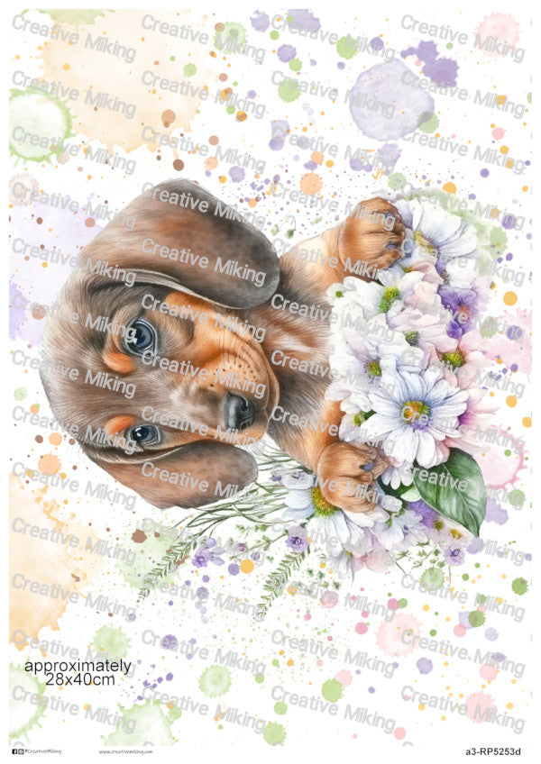 Dachshund Dog Portrait Among Flowers Watercolor Splashes Decoupage Paper | RP5253d
