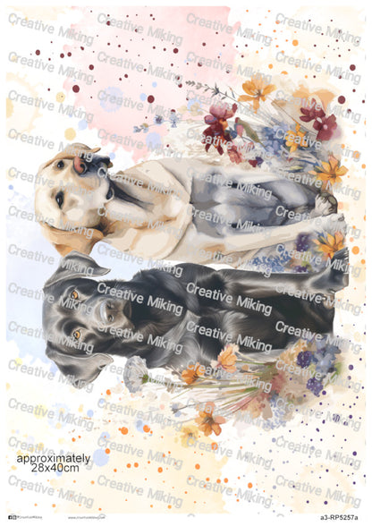 Yellow Labrador and Black Labrador Dogs Among Wildflowers Watercolor Splashes Decoupage Rice Paper | RP5257a