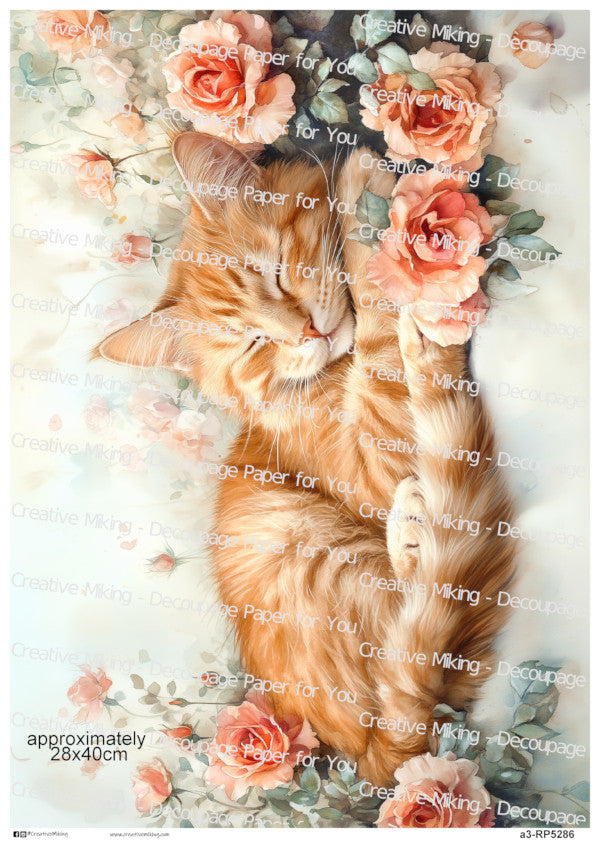 Ginger Tabby Cat Sleeping Among Roses Decoupage Rice Paper | RP5286