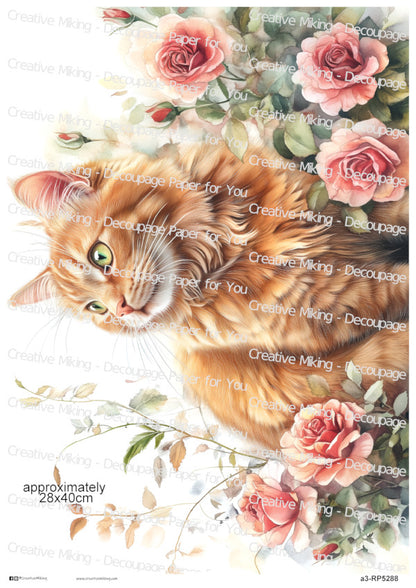 Ginger Tabby Cat Among Roses Decoupage Paper | RP5288