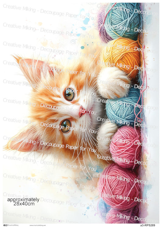 Ginger Tabby Cat Playing With Yarn Decoupage Paper | RP5289