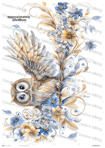 RP5331 - Owl