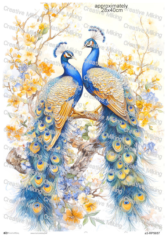 Peacocks Among Blossoms Decoupage Rice Paper | RP5657