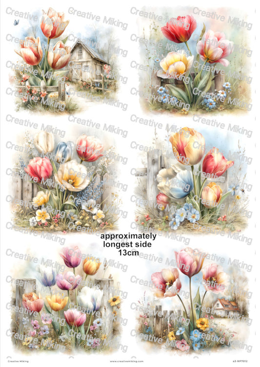 Tulip Flowers Decoupage Paper | RP7012