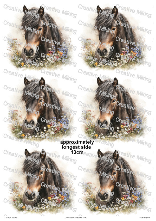 Dartmoor Pony Decoupage Rice Paper | RP7020a