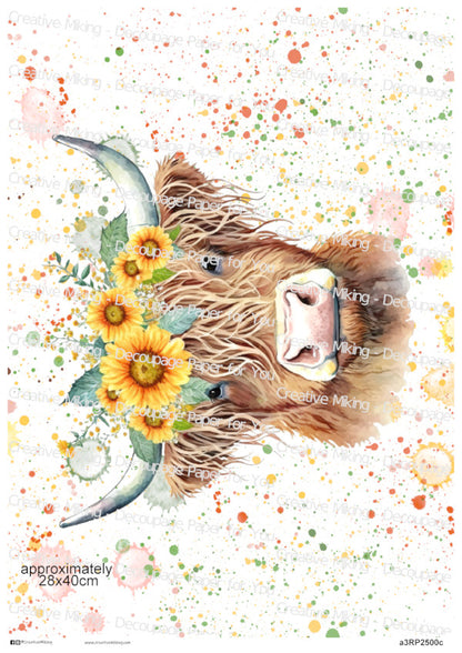 Highland Cow Sunflower Crown Splashes Decoupage Rice Paper | RP2500c