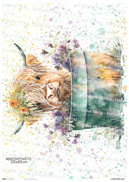 Highland Cow In A Tub Watercolor Splash Decoupage Rice Paper | RP2601e4