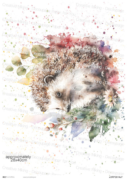 Hedgehog Watercolor Splashes Decoupage Rice Paper | RP2614a7