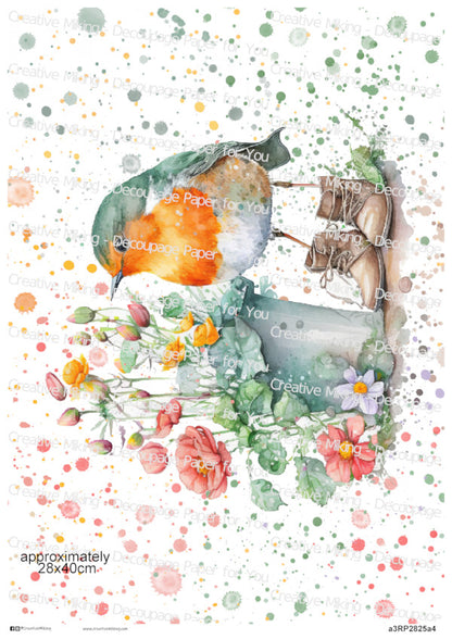 RP2825a4 - Robin in Boots