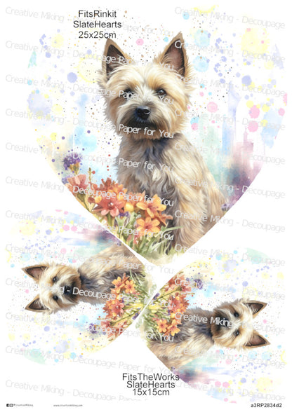 Cairn Terrier Dog With Flowers Watercolor Splashes Decoupage Paper | RP2834d2
