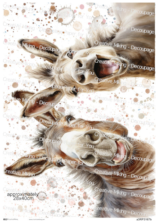Donkey Funny Watercolor Splatters Decoupage Rice Paper | RP3167b