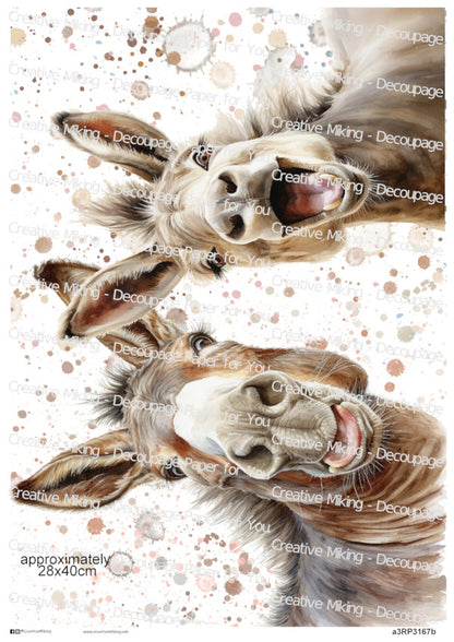 Donkey Funny Watercolor Splatters Decoupage Rice Paper | RP3167b