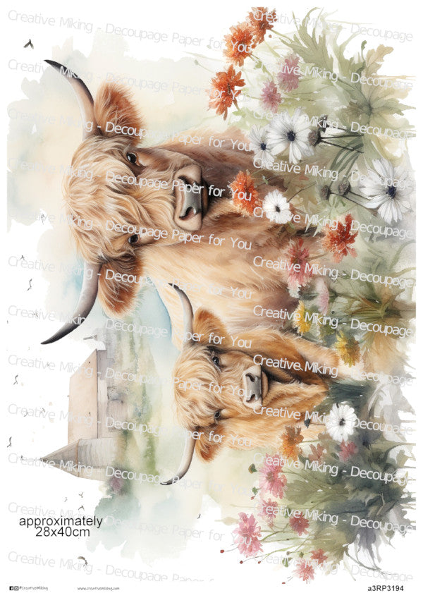 Highland Cow With Calf Among Wildflowers Watercolor Splashes Decoupage Paper | RP3194
