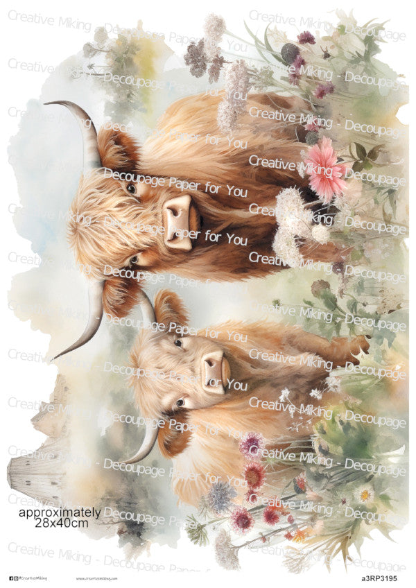 Highland Cow With Calf Among Wildflowers Decoupage Paper | RP3195