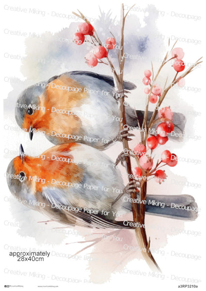 Robins On Branch With Red Berries Decoupage Paper | RP3210a