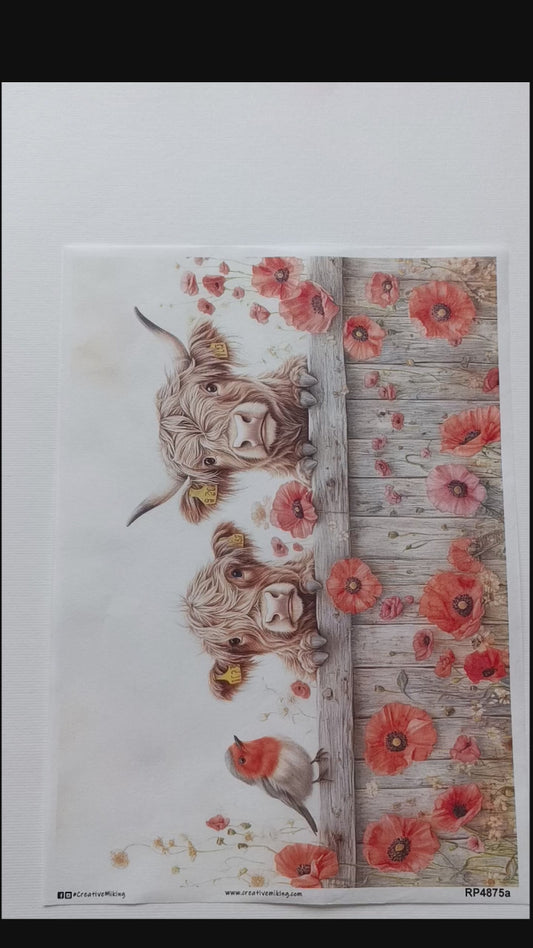 Budget Mixed Paper Bundle No. 38 | 10 Sheets