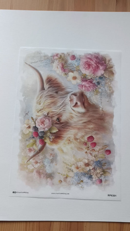Budget Mixed Paper Bundle No. 26 | 10 Sheets