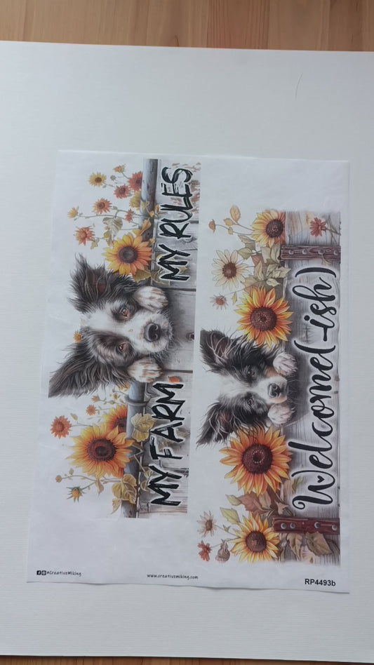 Budget Mixed Paper Bundle No. 17 | 10 Sheets