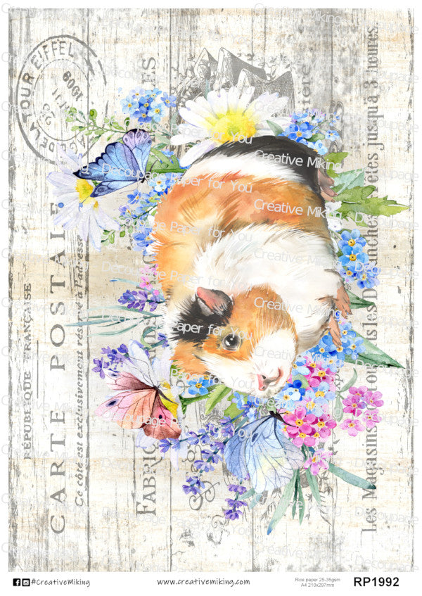 Guinea pig outlet paper